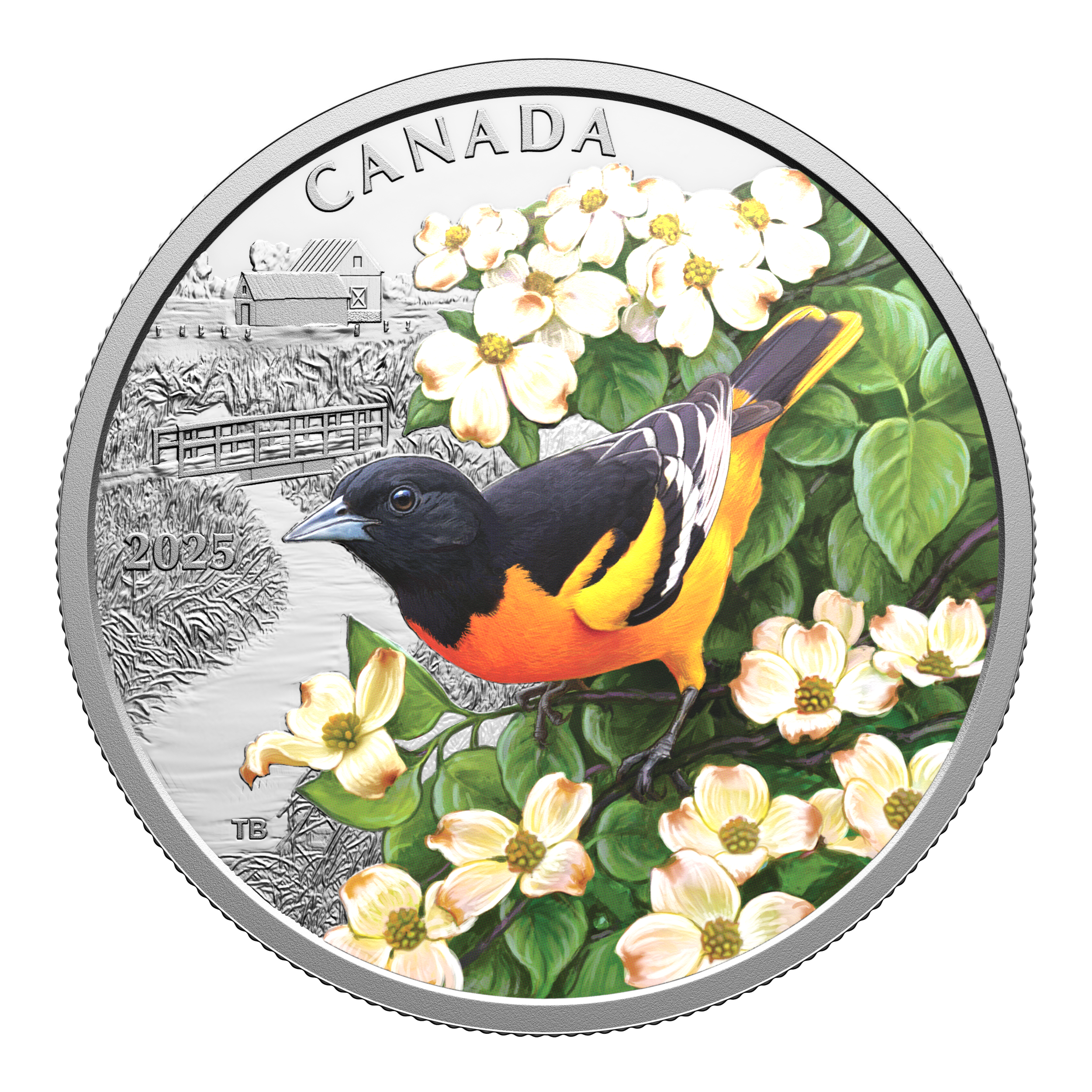 2025 Canada $20 Colourful Birds: Baltimore Oriole Fine Silver Coin