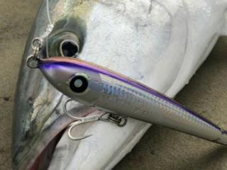 ダイブベイト｜ローカルスタンダード｜販売商品｜Costa｜Costa Fishing