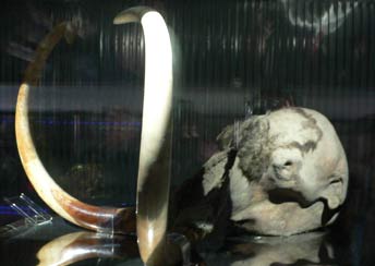 万博ヘッドライン | EXPO 2005 AICHI,JAPAN