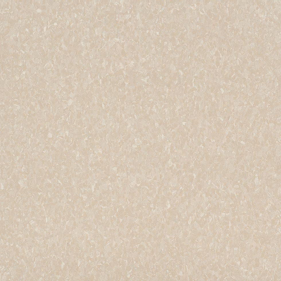 Armstrong Premium Excelon Crown Texture 5C811 Antique White 12