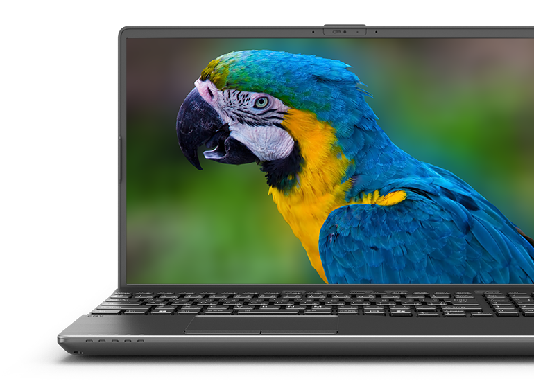 15.6型ワイド ノートパソコン FMV Note A（WA1-K2）： 富士通パソコンFMV