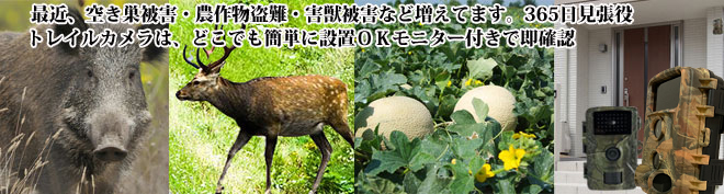 富士倉トレイルカメラ高解像度FTC－002・と低価格でも高性能FTC