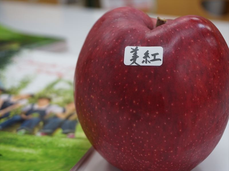 HFF33 名前が付きました。その名は・・『美紅（みく）』｜原田