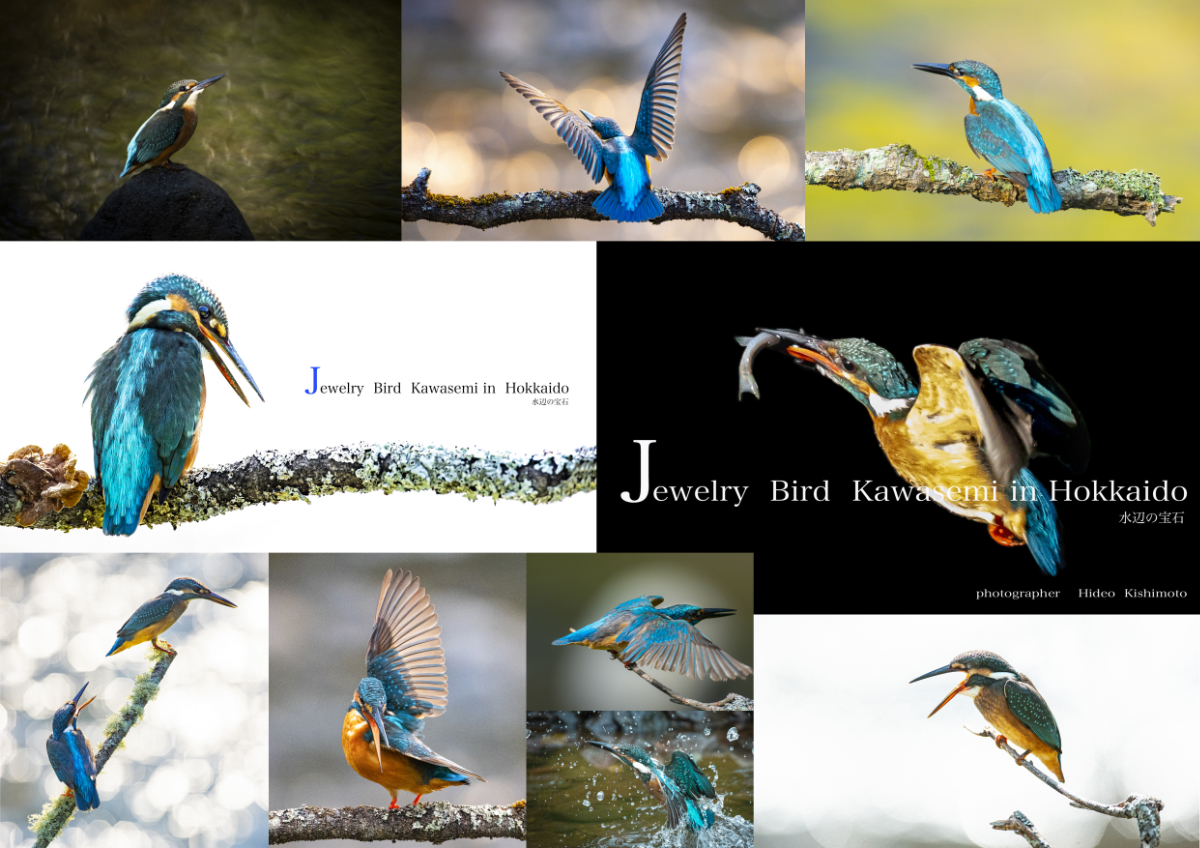 岸本日出雄の北海道コマーシャルフォト