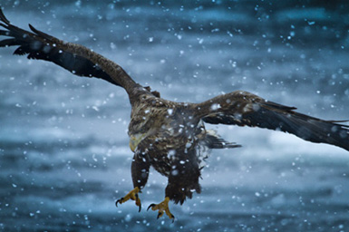 岸本日出雄の北海道コマーシャルフォト