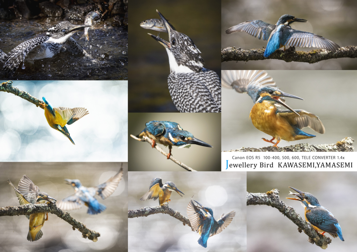 岸本日出雄の北海道コマーシャルフォト