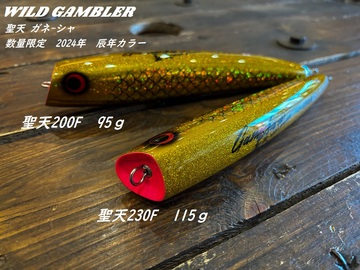 ワイルドギャンブラー 聖天ガネーシャ200F 230F 辰年限定カラー