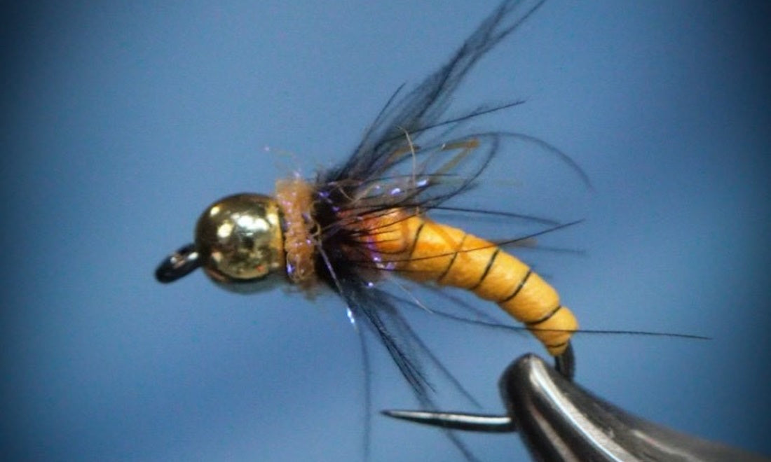 rfc-feature.jpg?v=1727800917