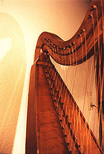 弦の張り方が特殊なハープ クロマチックハープ