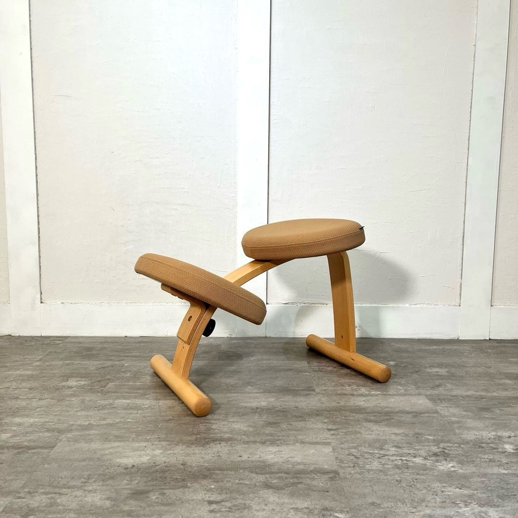 サカモトハウス バランスイージーチェア サカモトハウス バランス