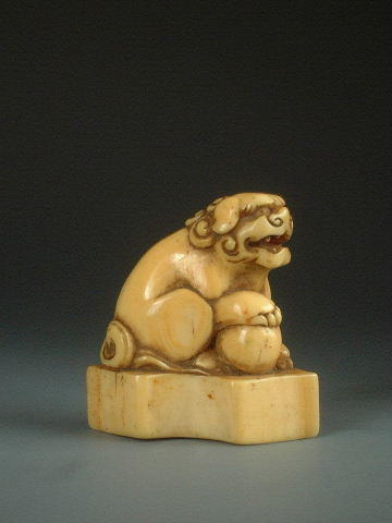 第21回 ウニコールとセイウチの見分け方