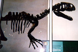 恐竜キング博物館INDEX