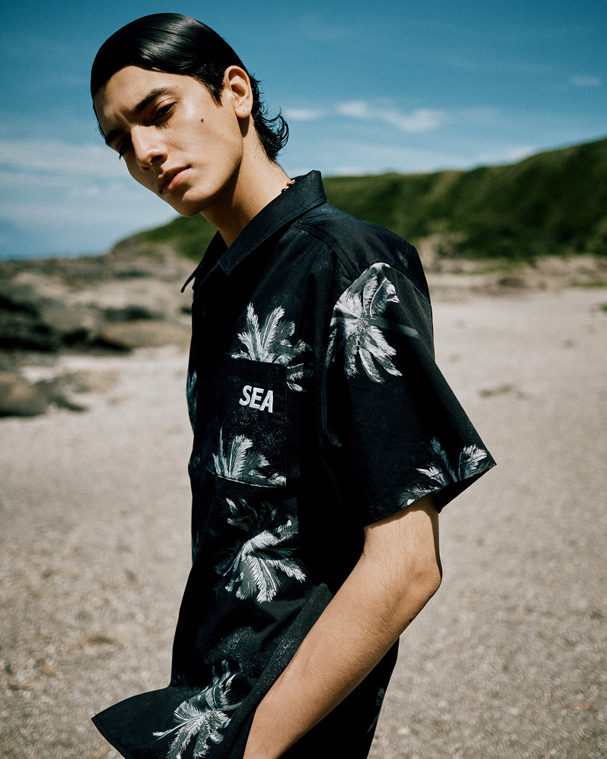 PALM TREE Collection – WIND AND SEA