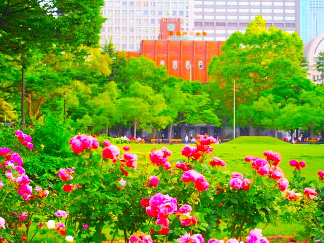 日比谷公園花散歩