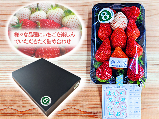 商品一覧｜8farm (エイトファーム)