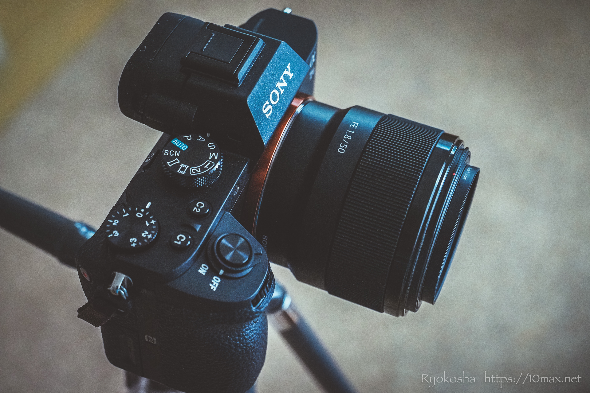 レビュー＆作例】ソニー FE 50mm F1.8 | ズームには出せない世界観を