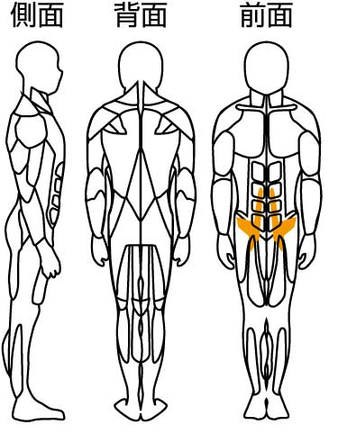 膝上げ訓（鍛錬マシン/コンディショニングラインシリーズ）