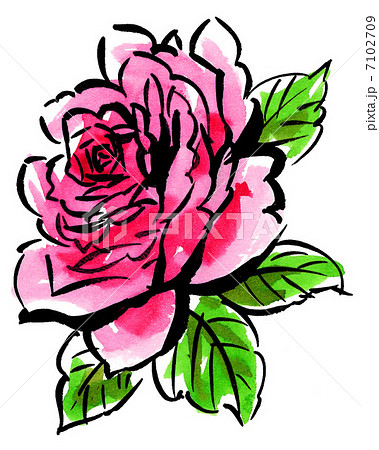 薔薇、絵手紙風13424pixのイラスト素材 [7102709] - PIXTA