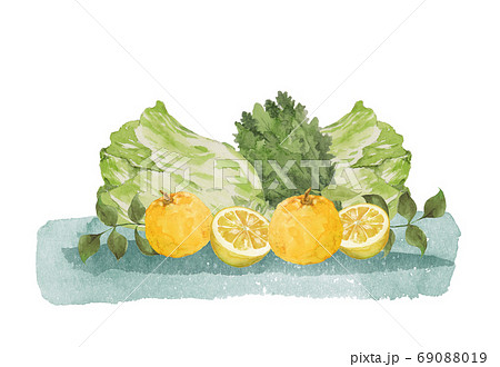 柚子と冬野菜 水彩画のイラスト素材 [69088019] - PIXTA
