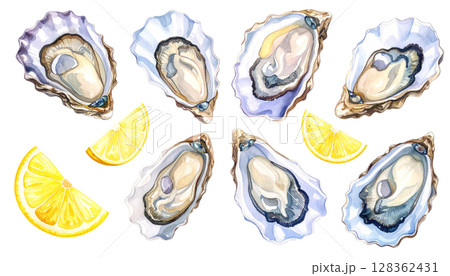 貝のイラスト素材(20,065点以上の高品質なイラスト素材) - PIXTA