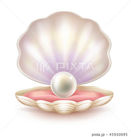 貝殻 ネックレス 首飾り ベクトルのイラスト素材 - PIXTA