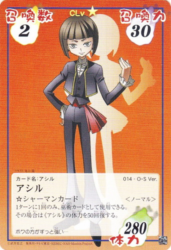 シャーマンキング 超・占事略決(238枚)