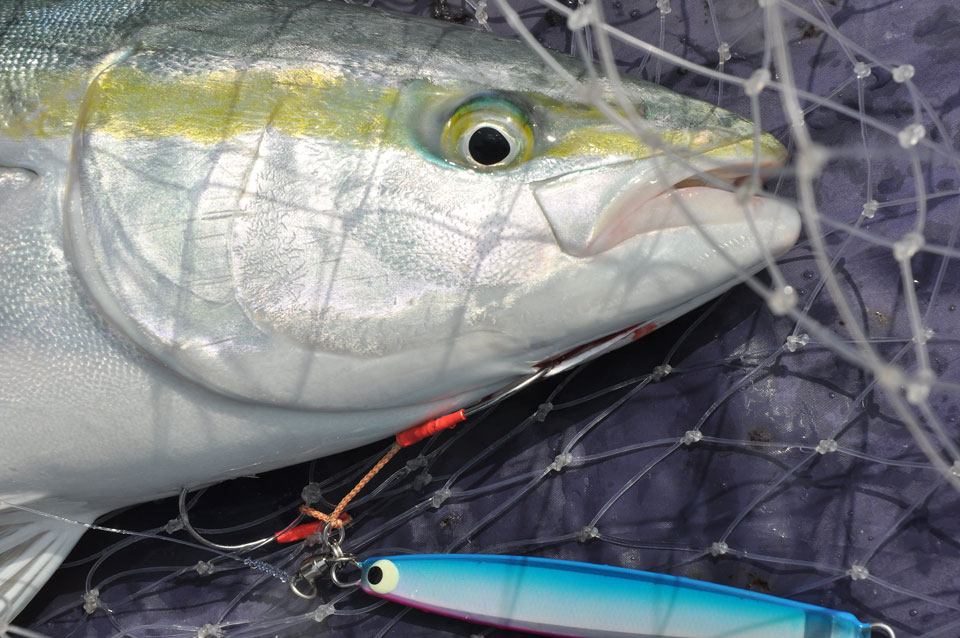 信頼できるタックルでルアーを操作する楽しさと定番P-Boy Jigの新たな