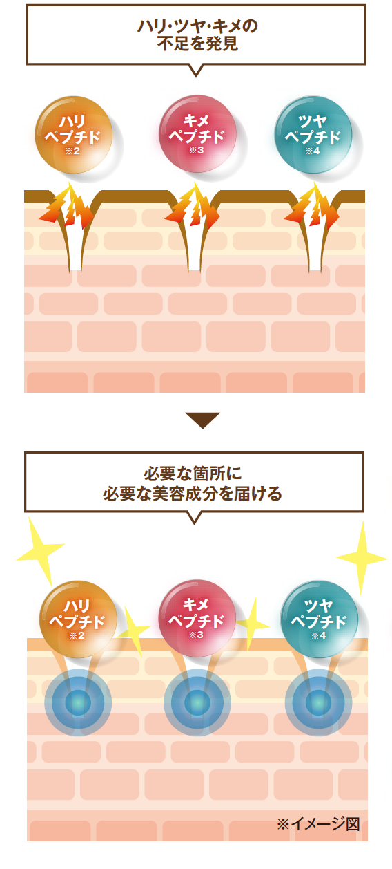 たかの友梨ビューティクリニック／株式会社不二ビューティ