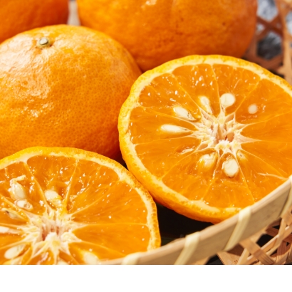 なつみの通販 高知県 やさいとくだものL+武田青果〜お客様に衝撃と感動を〜