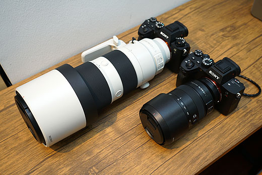 525mm相当で使えるAPS-C望遠ズームレンズ『SEL70350G』レビュー