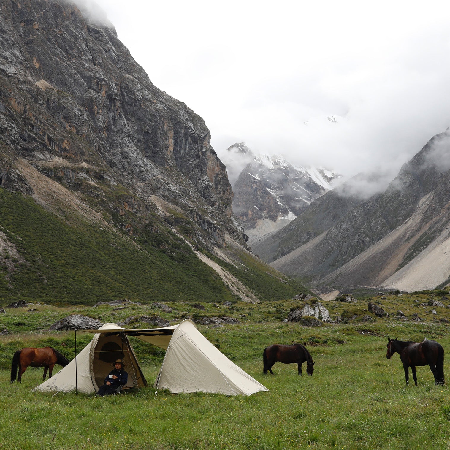 Yoto Plus – THE FREE SPIRITS