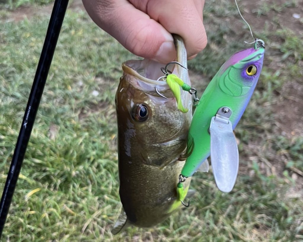 バス釣り用『トップウォーター』ルアーの名作18選！トップの釣りには