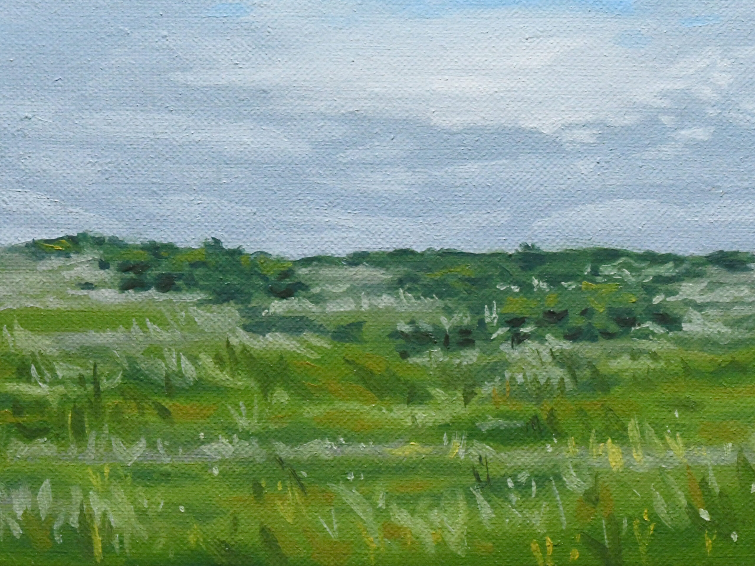 草原の風景 | 大谷尚哉 ｜インテリア絵画 アートの専門通販