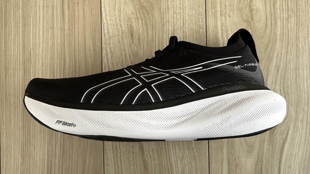 レビュー】ゲルニンバス 25：お餅のようなクッション｜ともらん！