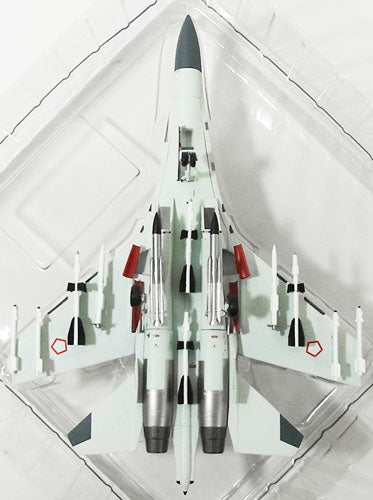 Witty Wings Su-30MK インドネシア空軍 第11飛行隊 ハサヌディン基地