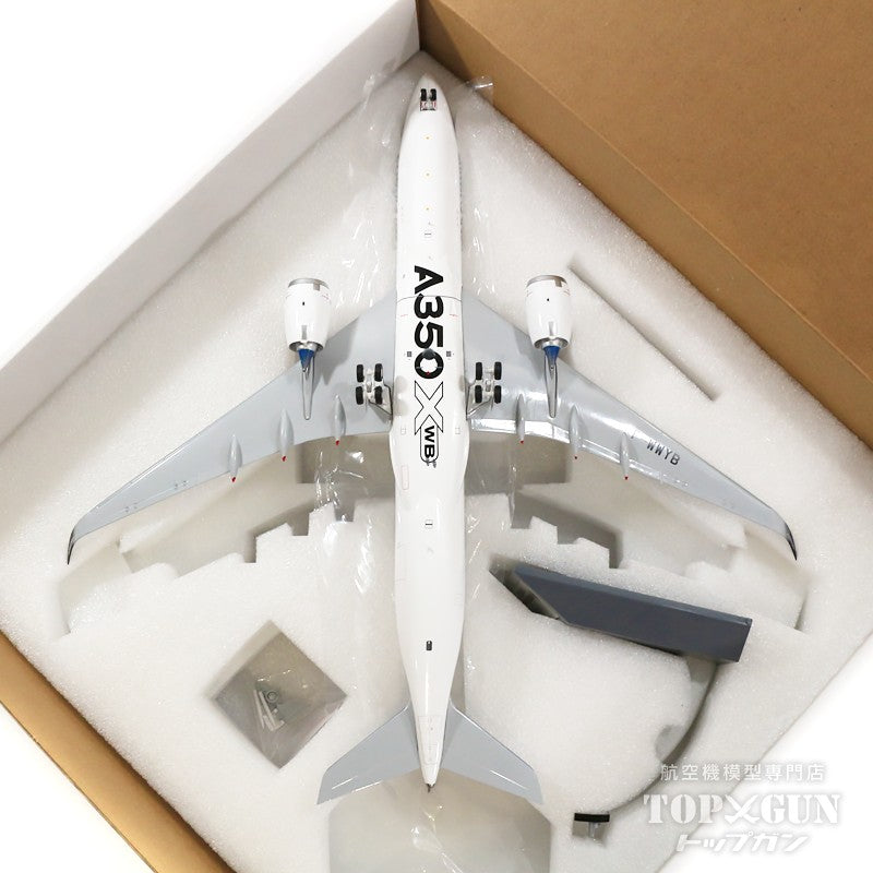 InFlight200 A350-900 エアバス社 ハウスカラー 「Around the World