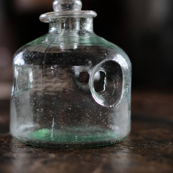 小さなハエ取り瓶 – zakka store towi