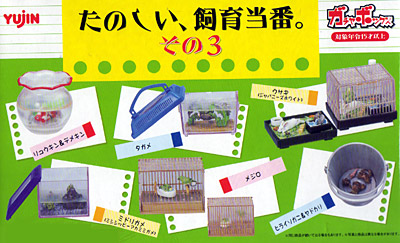 たのしい、飼育当番。