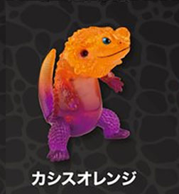 フトアゴン2 【スタジオソータ】