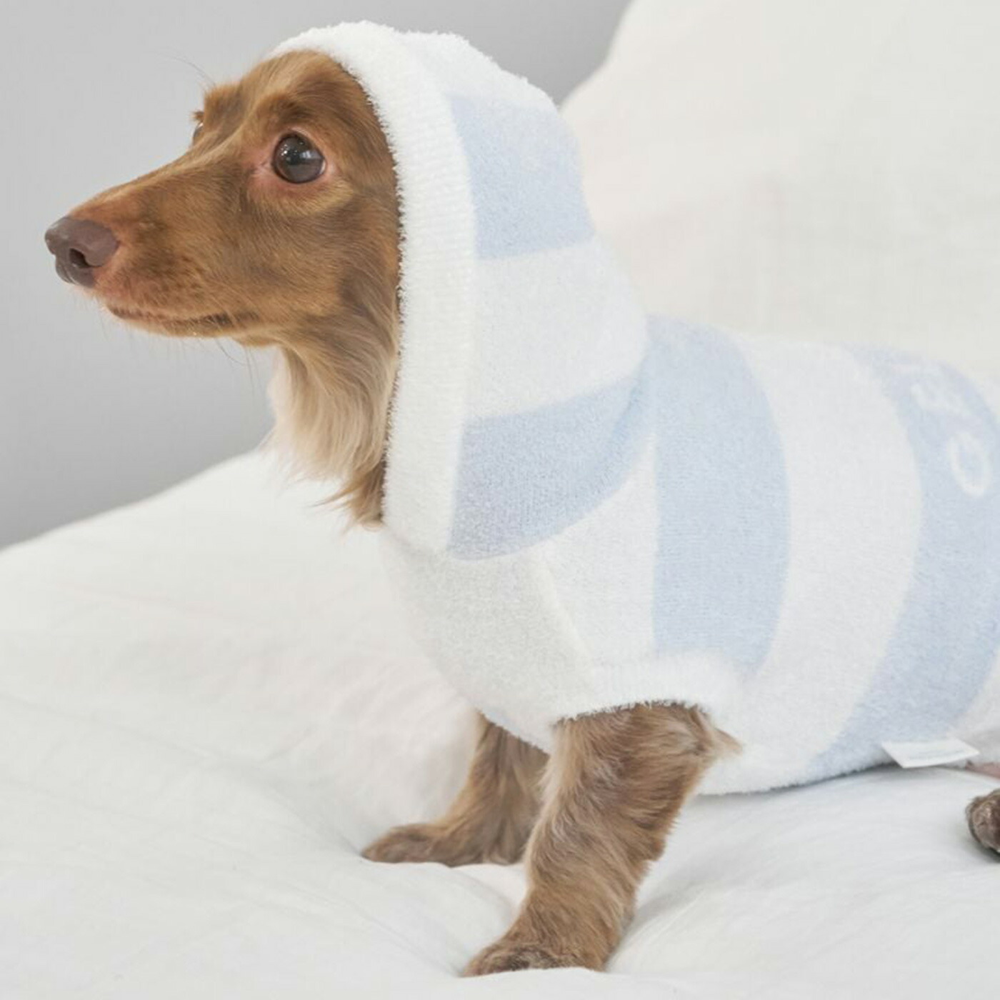 楽天市場】ジェラートピケ gelato pique CAT&DOG スムーズィーダックス