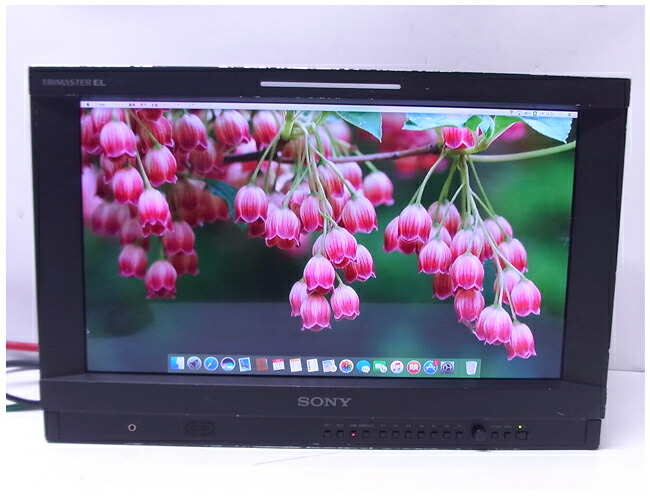 楽天市場】【中古】SONY PVM-1741・放送業務用 17型 有機ELモニター/HD