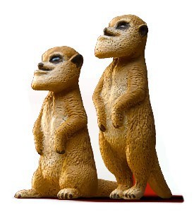 楽天市場】シャクレルプラネット シャクレルミーアキャット 単品