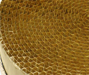 楽天市場】【25日は！枚数限定 最大1,000円OFFクーポン】キャタ