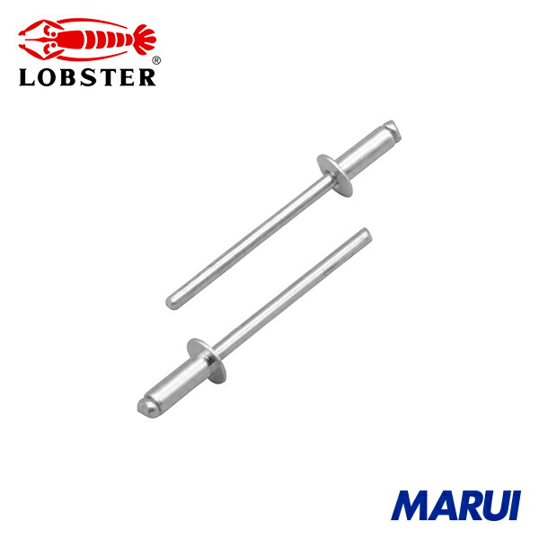 楽天市場】ロブテックス エビ ブラインドリベット(スティール