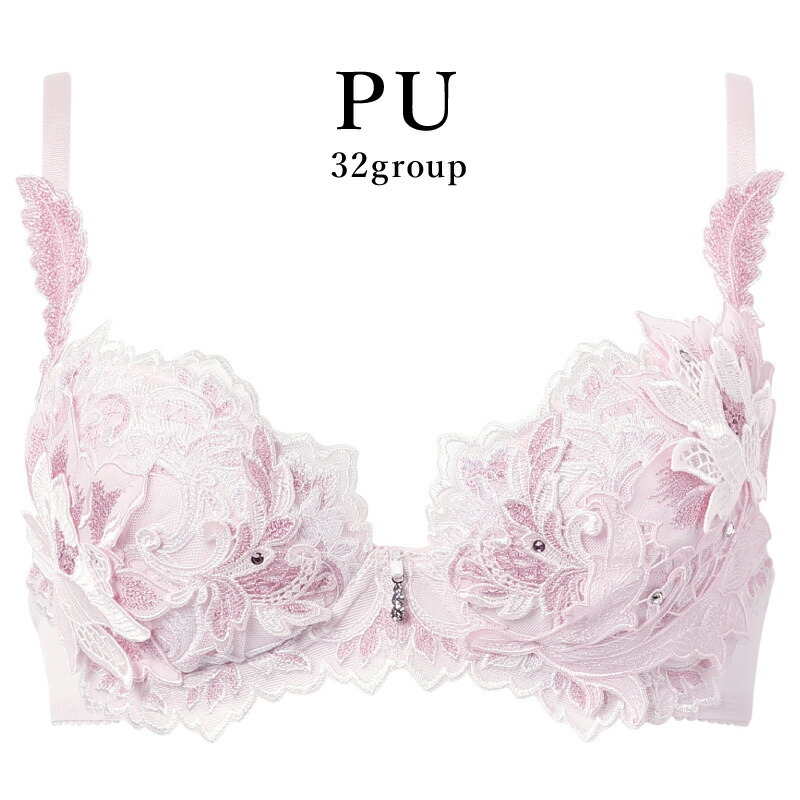 サルート ブラジャー」の人気商品一覧 | 安い商品を通販サイトから探す