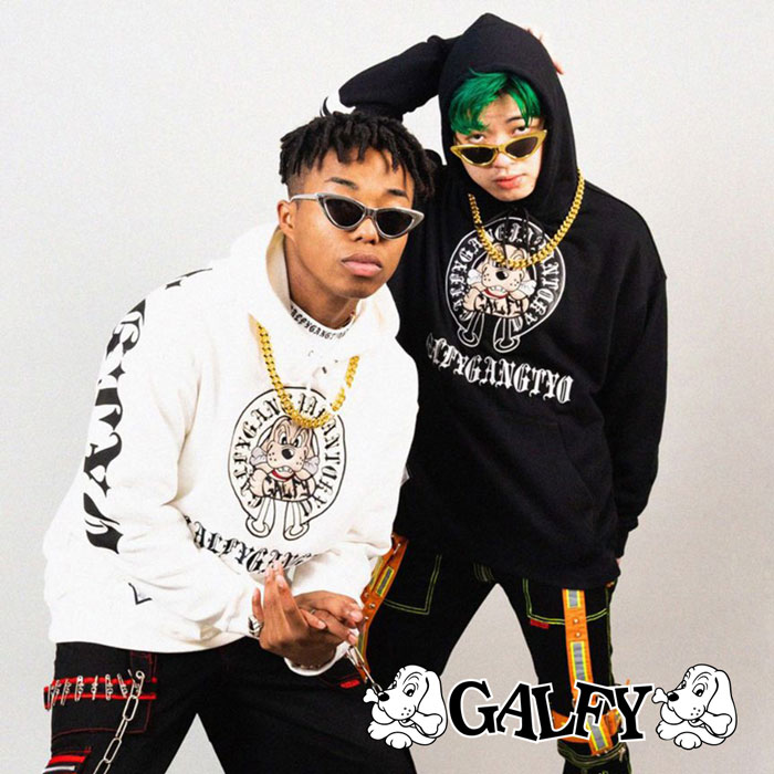 楽天市場】GALFY ガルフィー プル パーカー 長袖 メンズ レディース