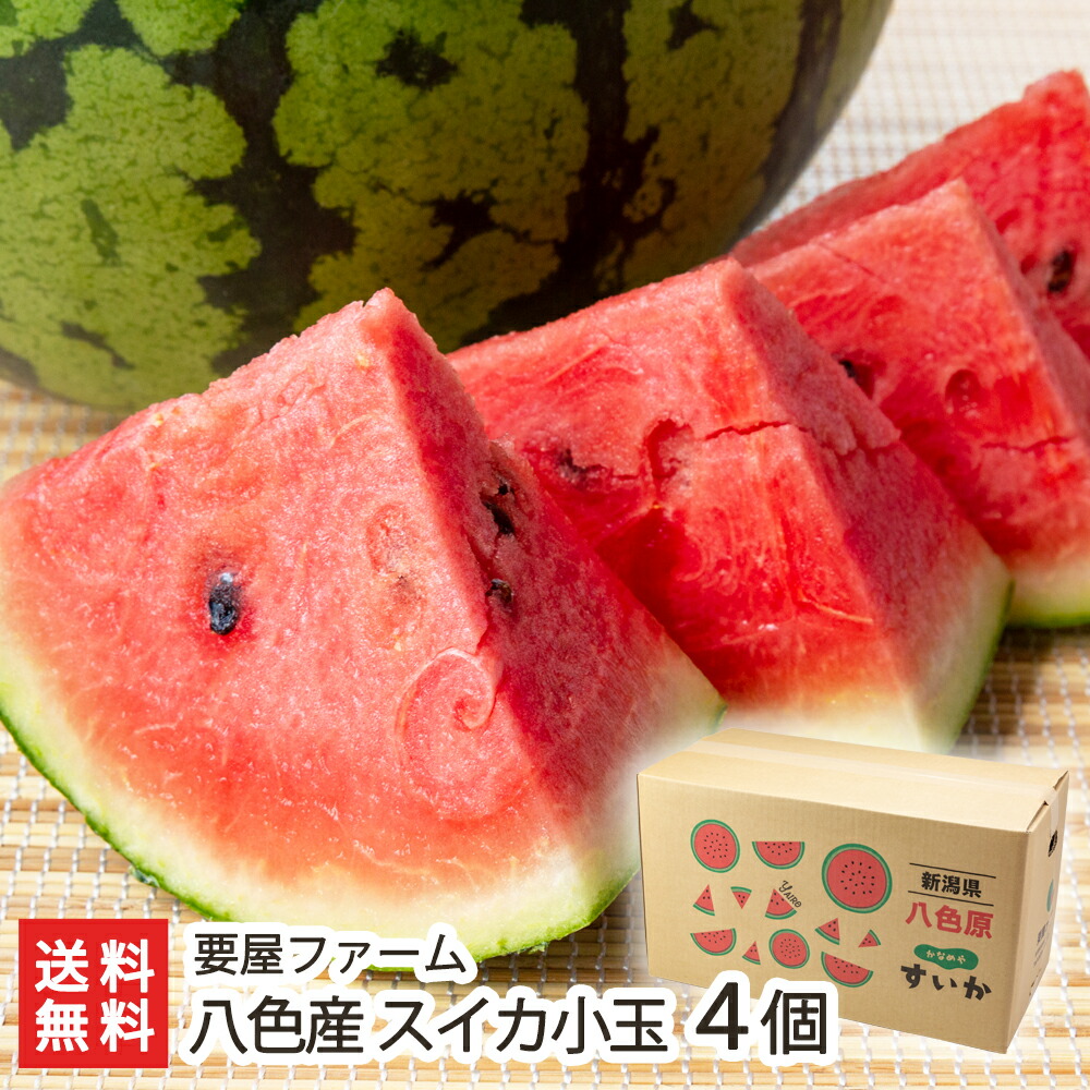 楽天市場】「八色産スイカ」小玉 選べる 2個入 〜 4個入 要屋ファーム