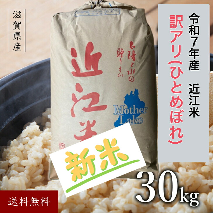 楽天市場】新米 玄米 近江米 令和7年 玄米 30kg 滋賀県産 ひとめぼれ