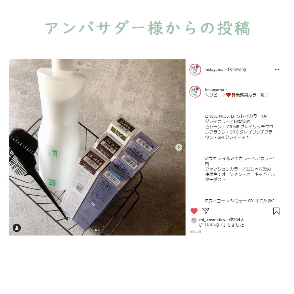 楽天市場】ホーユー プロステップ グレイカラー 第1剤 GM グレイマット