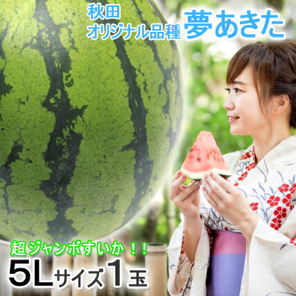楽天市場】【終売】秋田産すいか「夢あきた」超特大5Lサイズ(1玉) JA